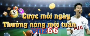 vnz66